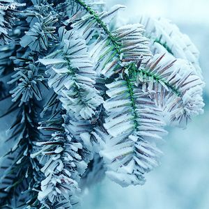 友田真希艳妇乳肉豪妇肉乳ⅩXX
