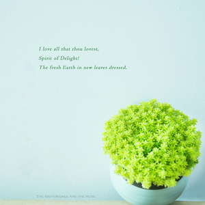 友田真希艳妇乳肉豪妇肉乳ⅩXX
